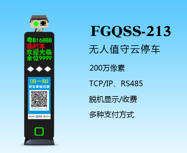 盛视-213（FGQSS-213）
