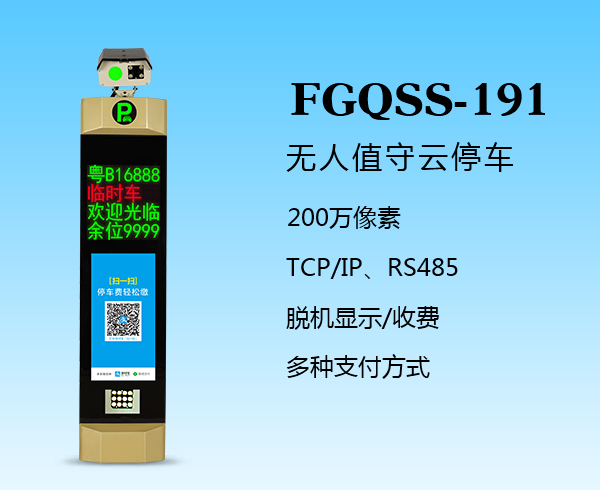 盛视-191（FGQSS-191）